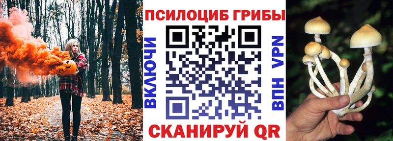 Галлюциногенные грибы прущие грибы  OMG рабочий сайт  Кириши 